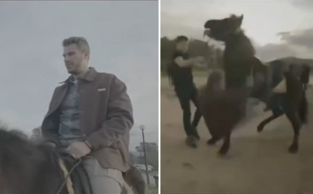 Σοβαρό ατύχημα για τον Άκη Πετρετζίκη: «Ένα άλογο τρόμαξε, το δικό μου πανικοβλήθηκε και έπεσα»