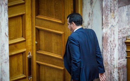 Ναυάγιο στη Χίο: Οργή Πλεύρη για ακτιβιστές που ζήτησαν να δουν παιδιά στο Παίδων