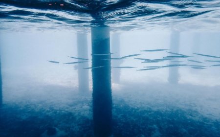 Αίγινα: Σοβαρή βλάβη υποθαλάσσιου αγωγού θέτει την ύδρευση σε έκτακτη ανάγκη