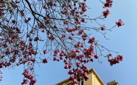 Τροχαίο με παράσυρση πεζού: Πατέρας ξυλοκόπησε τον οδηγό που είχε τραυματίσει το παιδί του