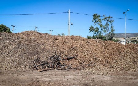 Ακαθάριστα οικόπεδα πρόστιμο: Τι αλλάζει στους ελέγχους και τις δηλώσεις καθαρισμού