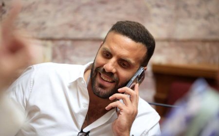 Νίκος Παππάς: Το χρονικό μιας προδιαγεγραμμένης διαγραφής