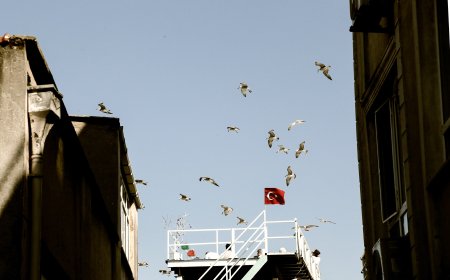 Ξύλο στην τουρκική Βουλή: Χάος με γροθιές κατά την ορκωμοσία νέων υπουργών