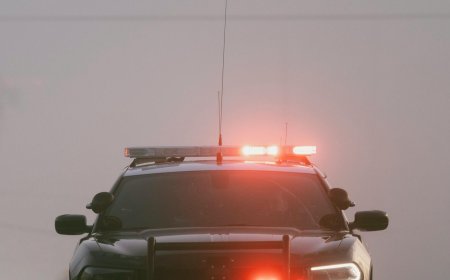 Σκύλος εντόπισε παιδί που αγνοούνταν: Πώς το τετράποδο οδήγησε την Αστυνομία στον 3χρονο