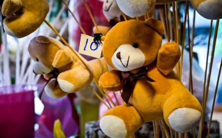 Έκλεψαν λούτρινα αρκουδάκια:  Μία… ερωτική αρπαγή από ανθοπωλείο για τη γιορτή του Αγίου Βαλεντίνου