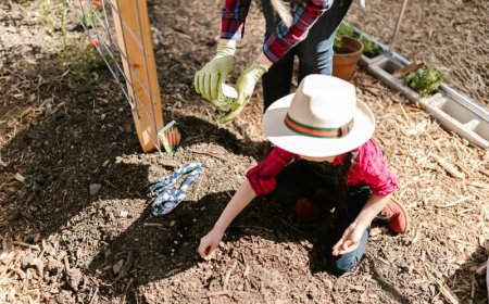 Νέα διπλή δεντροφύτευση στο Καβούρι και στη Βάρκιζα – Κυριακή 15 Φεβρουαρίου