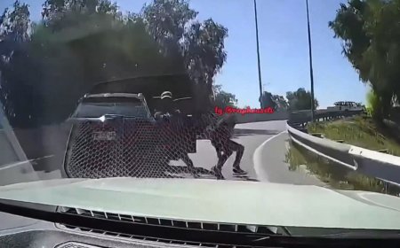 Ληστεία στη Χιλή: Ατρόμητος οδηγός πατάει ένοπλους στη Χιλή