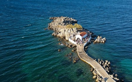 Η μαστίχα της Χίου: Από τα «δάκρυα» του σκίνου σε μοχλό ανάπτυξης ενός ολόκληρου νησιού