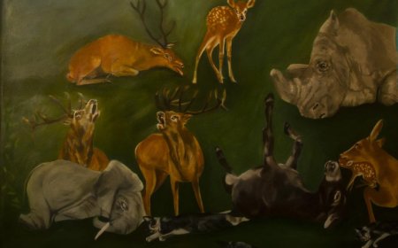 Ο Akylas είναι ο μεγάλος νικητής του ελληνικού τελικού της Eurovision με το «Ferto»