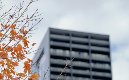 «Δεν θα εκπαιδεύσω εκείνη που πήρε τη θέση μου»: Η viral καταγγελία για ηλικιακές διακρίσεις