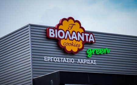 Βιολάντα εξελίξεις: Τι βρήκαν στα δύο άλλα εργοστάσια