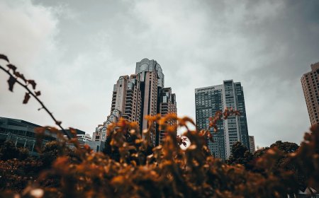 Τετραήμερη εργασία Ολλανδία: Το «σιωπηλό» μοντέλο και το στοίχημα της βιωσιμότητας