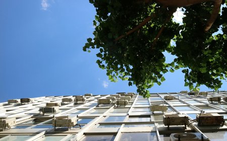 Χατζηδάκη ΟΠΕΚΑ: Αναστέλλεται η κομματική της ιδιότητα μετά την υπόθεση με τα επιδόματα