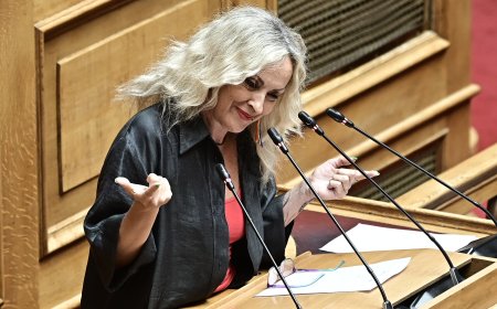 Η Κεφαλά για όσα κατήγγειλε η κουνιάδα της: Η Πλεύση είναι εδώ -Για γέλια και για κλάματα αυτά που κάνετε