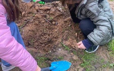 Δήμος Αθηναίων: Ενισχύει το Άλσος Ιλισίων με 500 νέα δέντρα