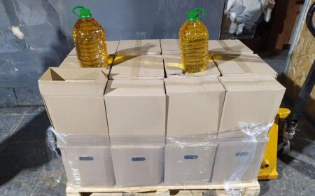 Ημαθία: Σε υπόγειο εργαστήριο νόθευαν ηλιέλαιο και το διακινούσαν ως αγνό παρθένο ελαιόλαδο – 3 Συλλήψεις