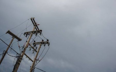 Καλαμάτα: Συνελήφθη μέλος συμμορίας τεχνικών-μαϊμού που σήκωσε κοσμήματα, χρυσαφικά, μετρητά 662.000 ευρώ!