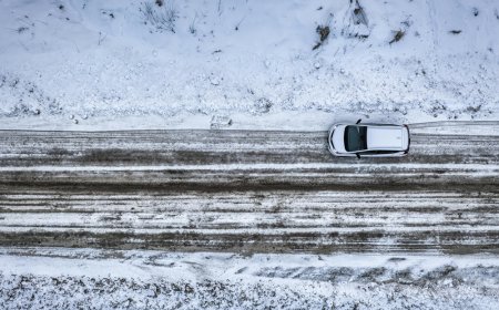 Αρκούδες σε χιονοδρομικό της Λίμνης Τάχο: Στιγμές αιφνιδιασμού για σκιέρ