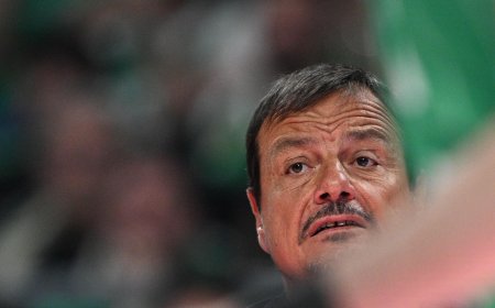 Παναθηναϊκός Κύπελλο: Οι δηλώσεις Αταμάν