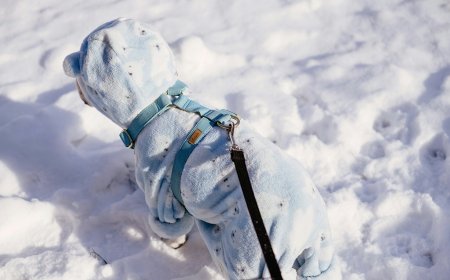 Νέα Υόρκη χιονοθύελλα: Πάνω από 50 εκατοστά χιόνι σε Λονγκ Άιλαντ και Νιου Τζέρσεϊ