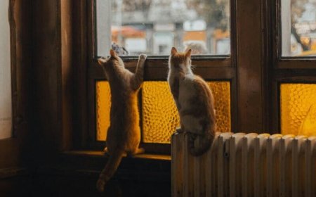 Επίδομα θέρμανσης πληρωμή: Πότε θα καταβληθεί η δεύτερη δόση ανά καύσιμο