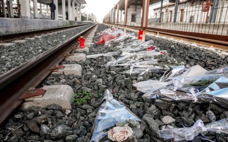 57 ελιές Τέμπη: 29 μαθητές άφησαν αρκουδάκια και κρέμασαν μαύρους χαρταετούς