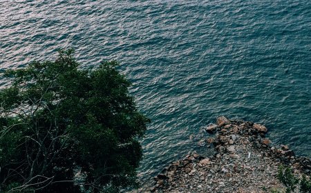 Οικογενειακή τραγωδία: Ποδοσφαιριστής νόμισε ότι σκότωσε τη μητέρα του και αυτοκτόνησε!