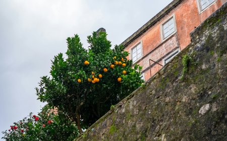 Αεροβόλο Ρέντης: Πανικός έξω από Γυμνάσιο
