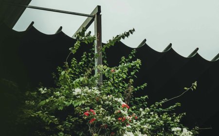 Λέρος πατροκτονία: Βίντεο ντοκουμέντο από καβγά – Ο 50χρονος χτυπά τον ανήλικο