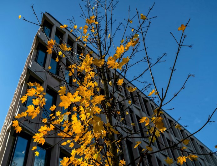 Συνταγματική αναθεώρηση: Το στοίχημα των 180 ψήφων και οι πρώτες γραμμές σύγκρουσης