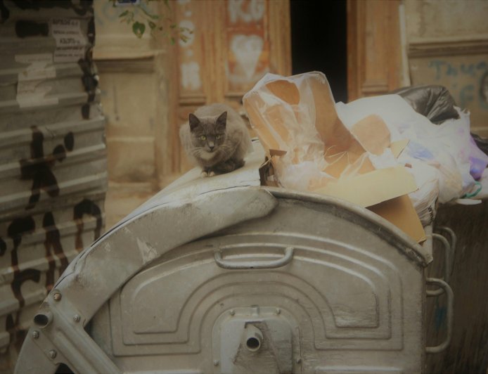 Εργαζόμενη καθαριότητας παρέδωσε γεμάτο πορτοφόλι: Μια πράξη σιωπηλής τιμής στους δρόμους της Κοζάνης