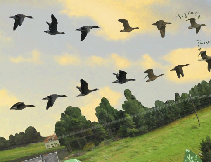 Το “παραμυθένιο” ταξίδι της νανόχηνας: Εκπαιδευτική δράση στη Δημοτική Βιβλιοθήκη Κομοτηνής