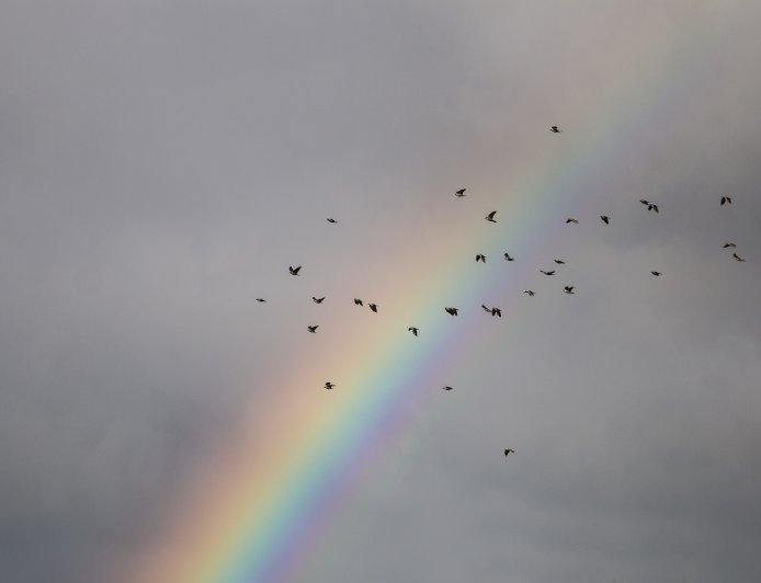 Ο καιρός τις επόμενες ώρες: Σήμερα η πιο δύσκολη μέρα