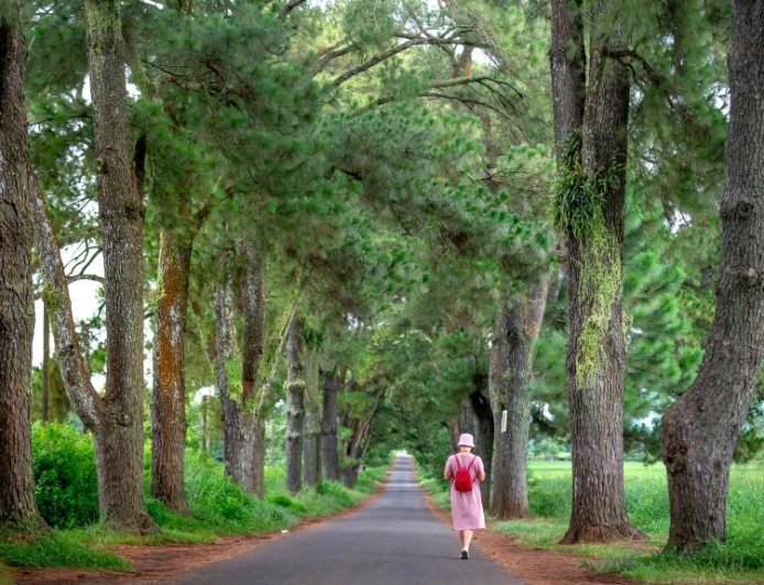 Παγκόσμια Ημέρα Καρκίνου 2026: Αγώνας, ελπίδα και υποστήριξη