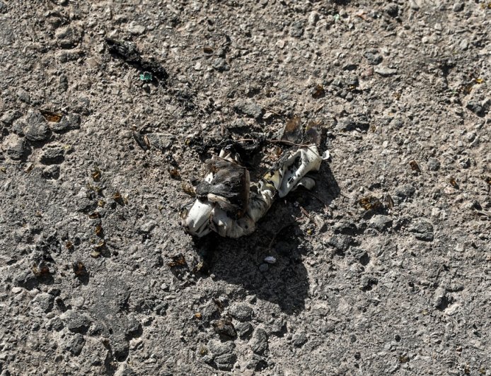 ΑΠΘ επεισόδια: Μολότοφ, κοντάρια και ναρκωτικά έξω από το Πανεπιστήμιο