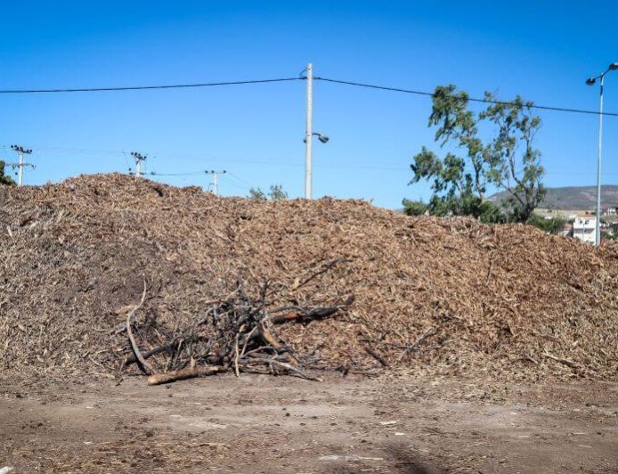 Ακαθάριστα οικόπεδα πρόστιμο: Τι αλλάζει στους ελέγχους και τις δηλώσεις καθαρισμού