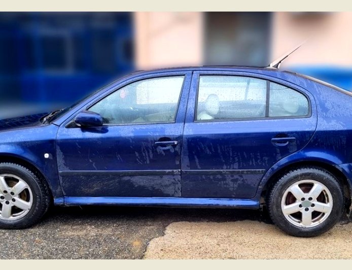 Συνοριοφύλακες του Ιάσμου συνέλαβαν διακινητή παράνομων μεταναστών