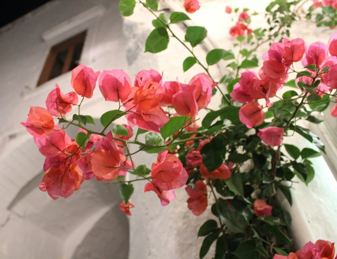 Ψυχοσάββατο: Η ημέρα μνήμης και προσευχής για τους κεκοιμημένους