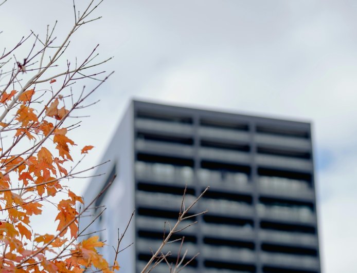 «Δεν θα εκπαιδεύσω εκείνη που πήρε τη θέση μου»: Η viral καταγγελία για ηλικιακές διακρίσεις