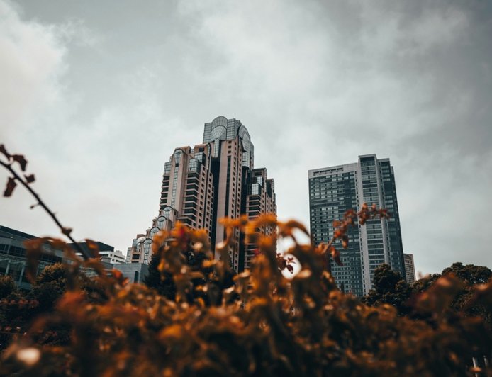 Τετραήμερη εργασία Ολλανδία: Το «σιωπηλό» μοντέλο και το στοίχημα της βιωσιμότητας