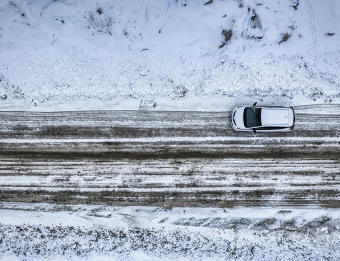Αρκούδες σε χιονοδρομικό της Λίμνης Τάχο: Στιγμές αιφνιδιασμού για σκιέρ