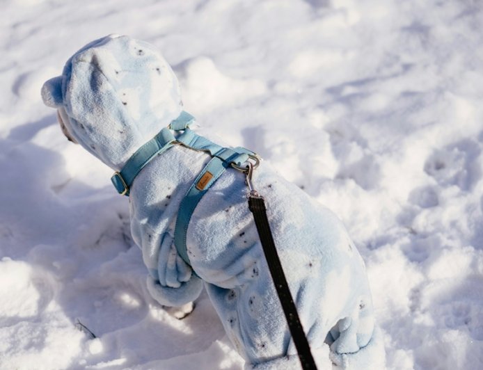 Νέα Υόρκη χιονοθύελλα: Πάνω από 50 εκατοστά χιόνι σε Λονγκ Άιλαντ και Νιου Τζέρσεϊ