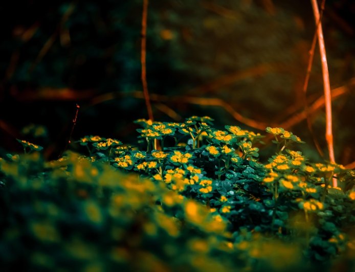 Δήμος Μοσχάτου – Ταύρου: Ανακύκλωση, πράσινα έργα και βιώσιμη ανάπτυξη στη Verde-tec