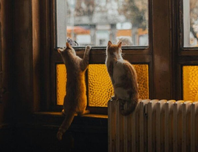 Επίδομα θέρμανσης πληρωμή: Πότε θα καταβληθεί η δεύτερη δόση ανά καύσιμο