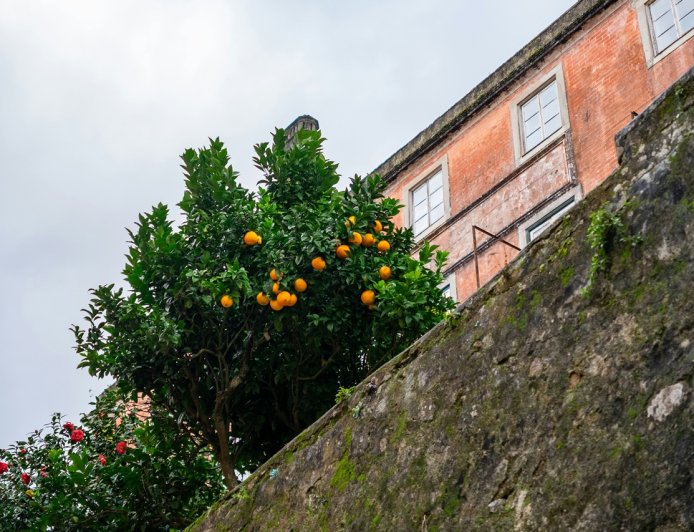 Αεροβόλο Ρέντης: Πανικός έξω από Γυμνάσιο