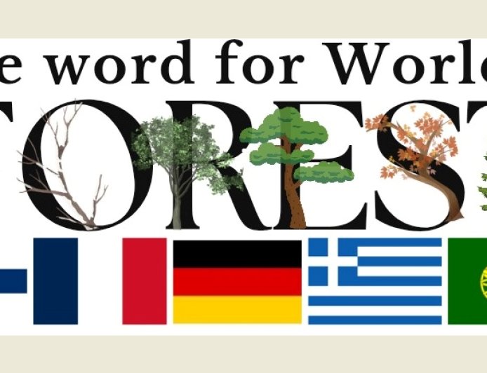 Οικοσυστήματα της Θράκης θα μελετήσουν μαθητές από την Ευρώπη και το Μουσικό Σχολείο Κομοτηνής