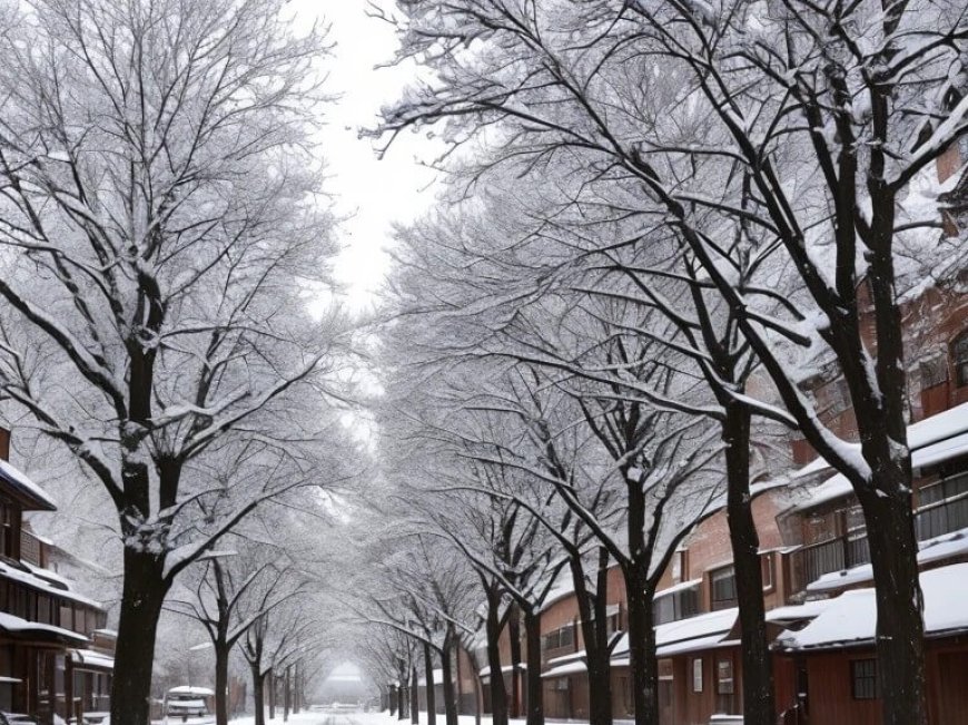 Ιαπωνία χιόνια: Η κακοκαιρία στοίχισε τη ζωή σε τουλάχιστον 30 ανθρώπους