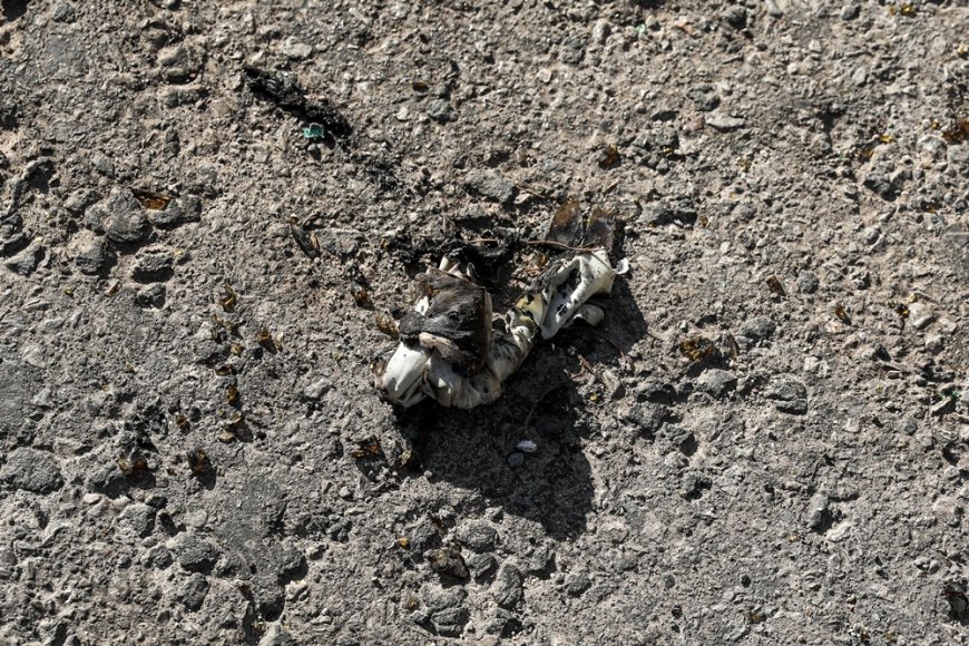 ΑΠΘ επεισόδια: Μολότοφ, κοντάρια και ναρκωτικά έξω από το Πανεπιστήμιο