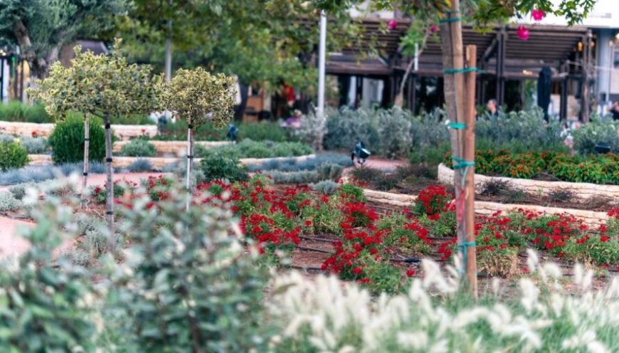 Έργα και ανάπτυξη στα Βριλήσσια: Ο απολογισμός της δημοτικής αρχής 2025