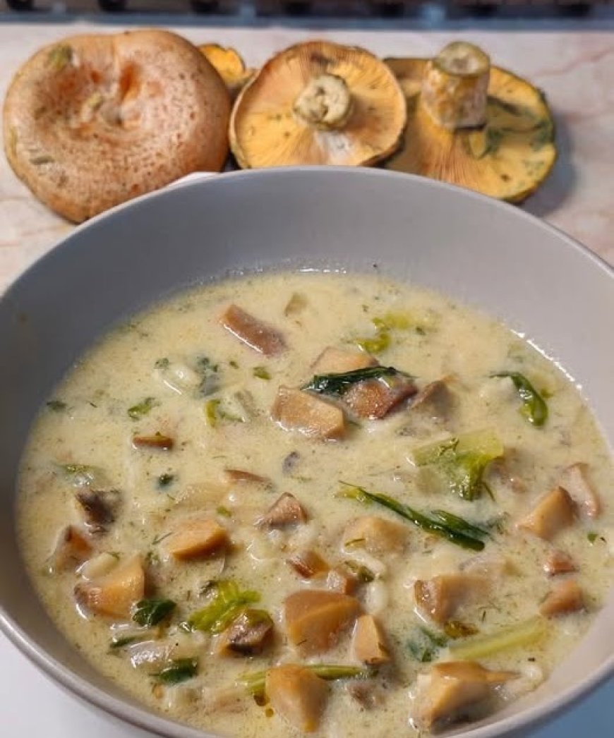 Μαγειρίτσα από άγρια μανιτάρια !!!